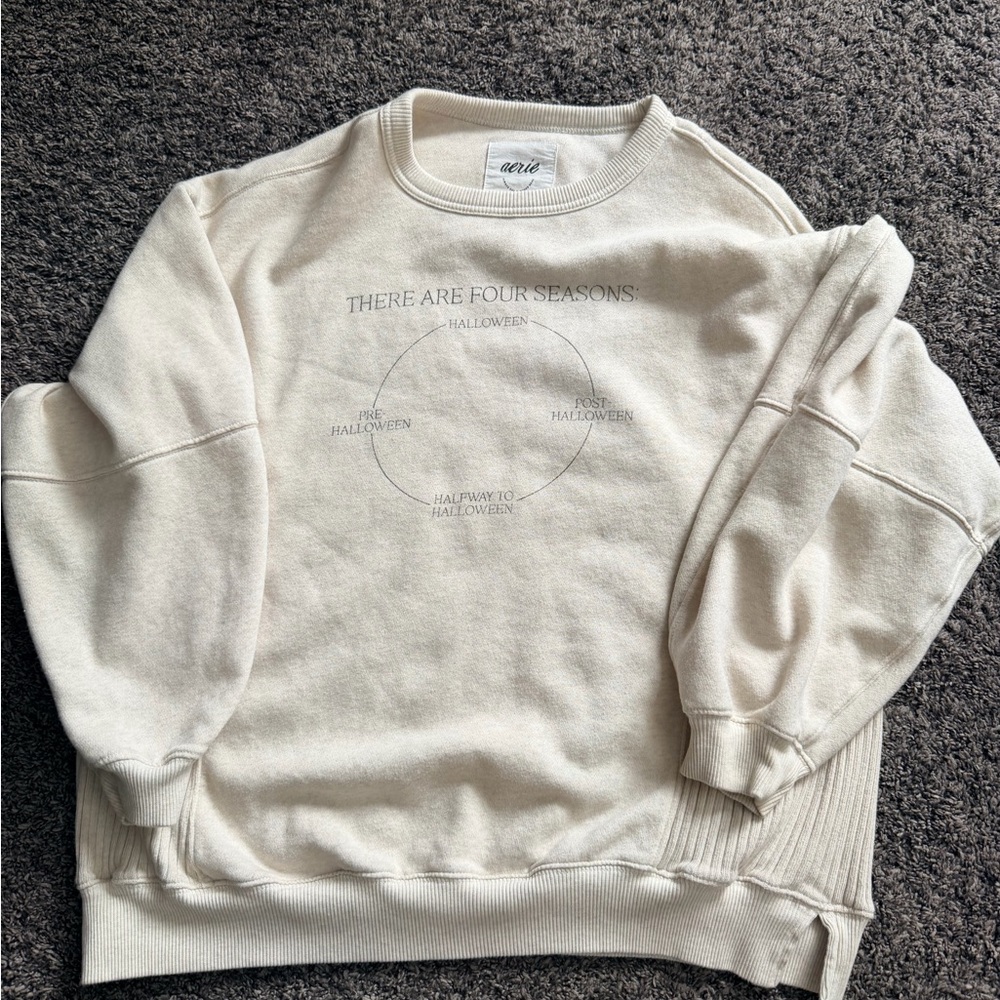 Aerie Cream Crewneck Sweater